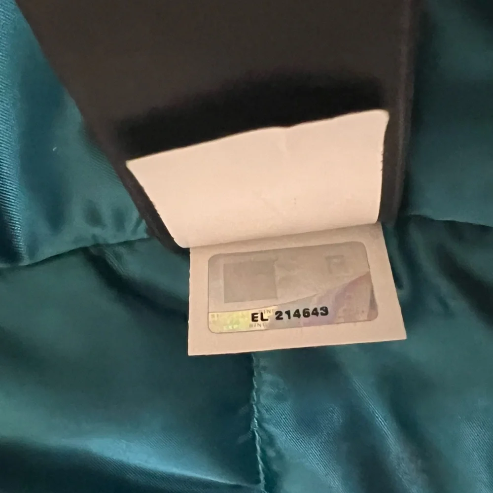 The North Face Women's Teal Blue Inlux Insulated Waterproof Jacket AFYP Large - Picture 3 of 12